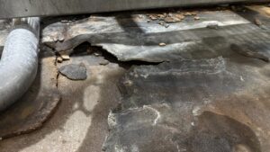 Floor with Thermal Shock Damage